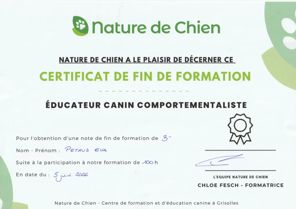 certification de formation éducateur comportementaliste canin par Nature de chien